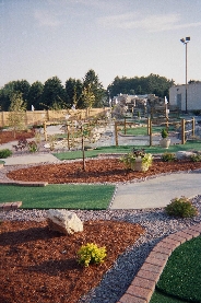 Mini Golf